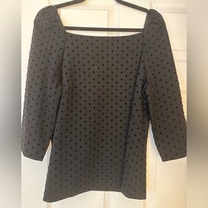 Ann Taylor Black Velvet Polka Dot 3/4 Sleeve Dress